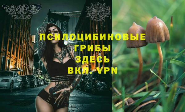 бошки Новодвинск