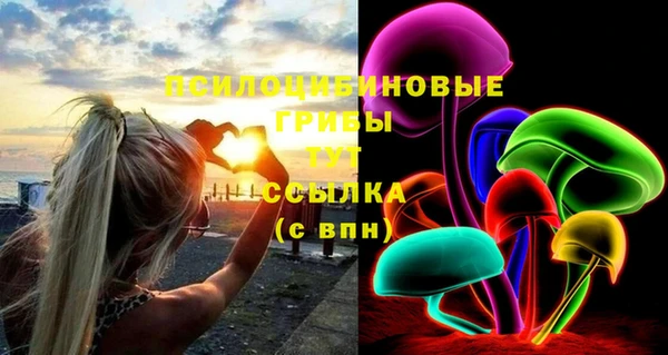 ПСИЛОЦИБИНОВЫЕ ГРИБЫ Алзамай