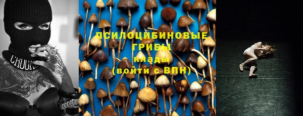 соль ск Алексеевка