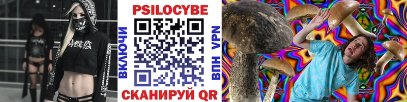 закладка  Петровск  Псилоцибиновые грибы Psilocybine cubensis 