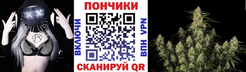 где найти наркотики  Петровск  МАРИХУАНА VHQ 